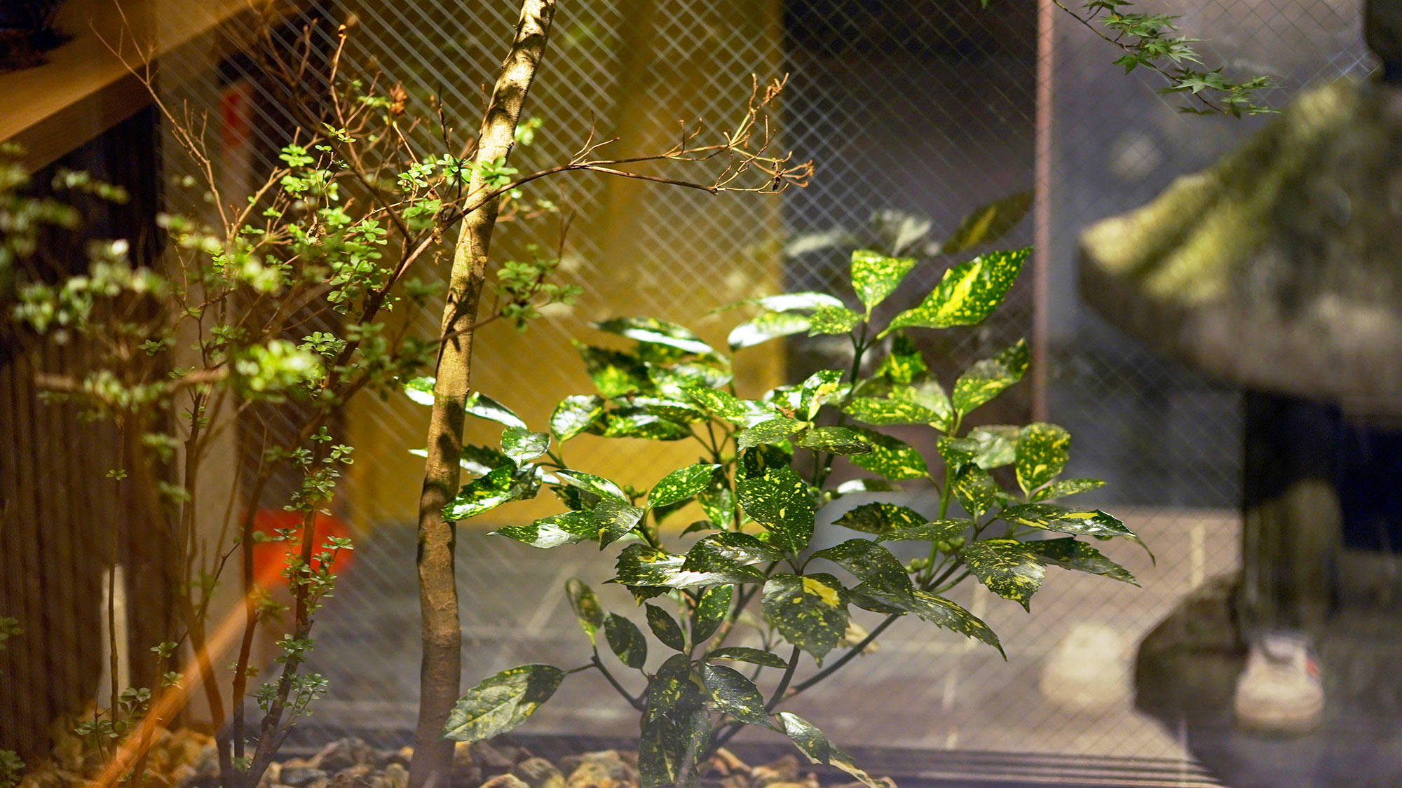 ・旅からお戻りの際は中庭の緑を眺めながらお寛ぎください