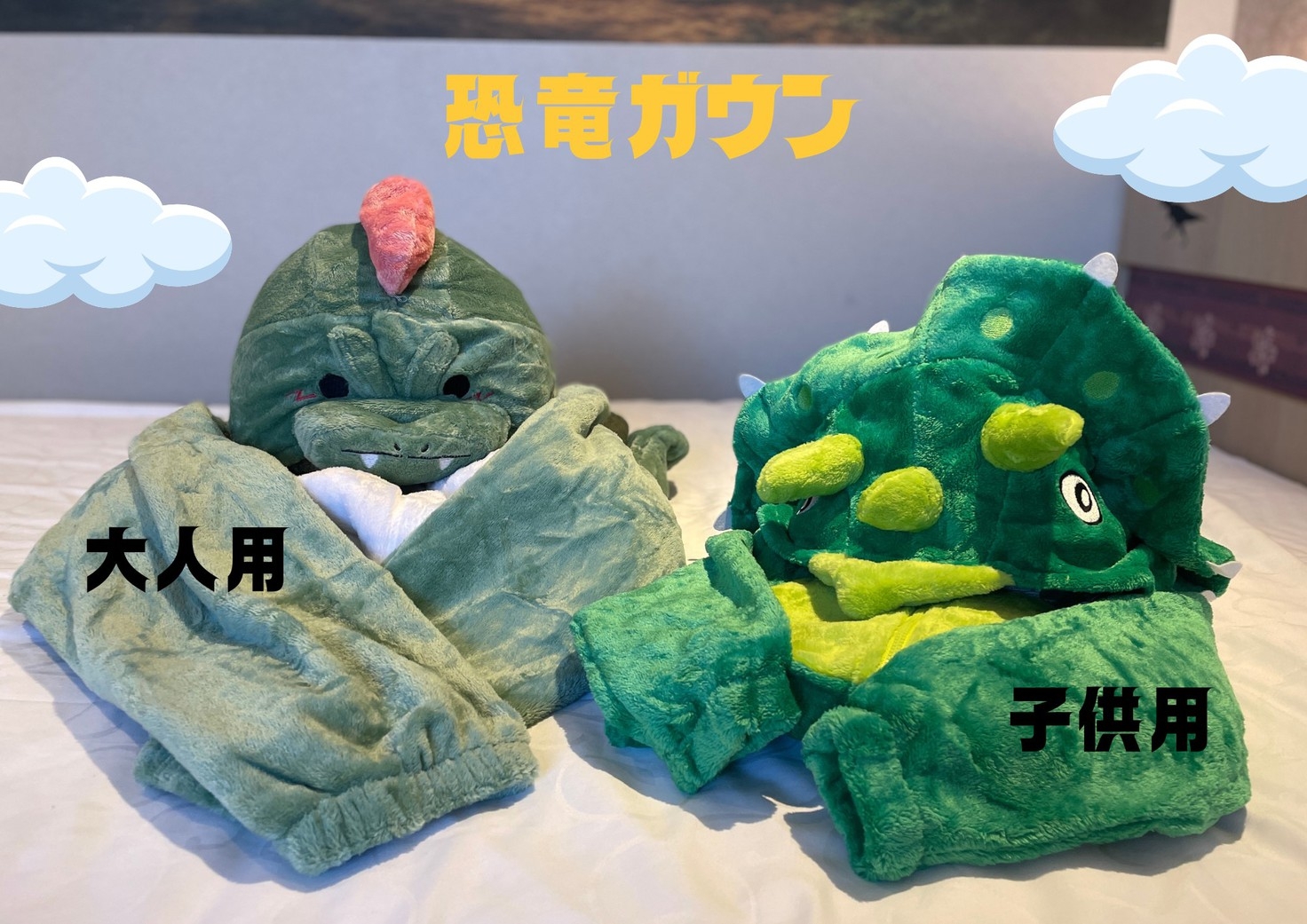 【恐竜時代にタイムスリップ】オリジナル恐竜ルーム！嬉しい特典付き！＜朝食付き＞