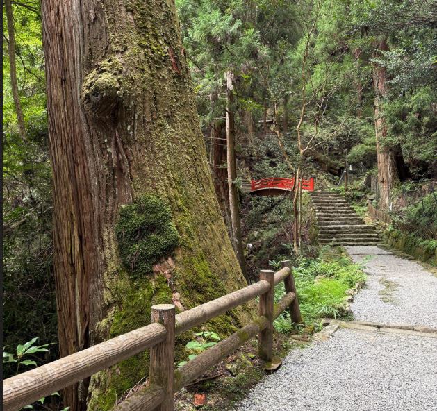 室生寺奥の院への道
