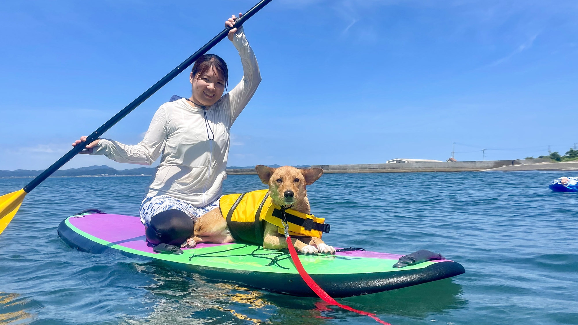 【5〜10月限定！愛犬とSUP】2食付：透明度が高い穏やかな内房で愛犬と楽しむSUPプラン
