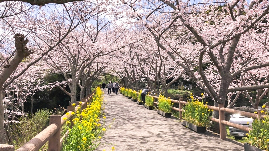 ・城山公園では四季折々の景色を楽しむことができます