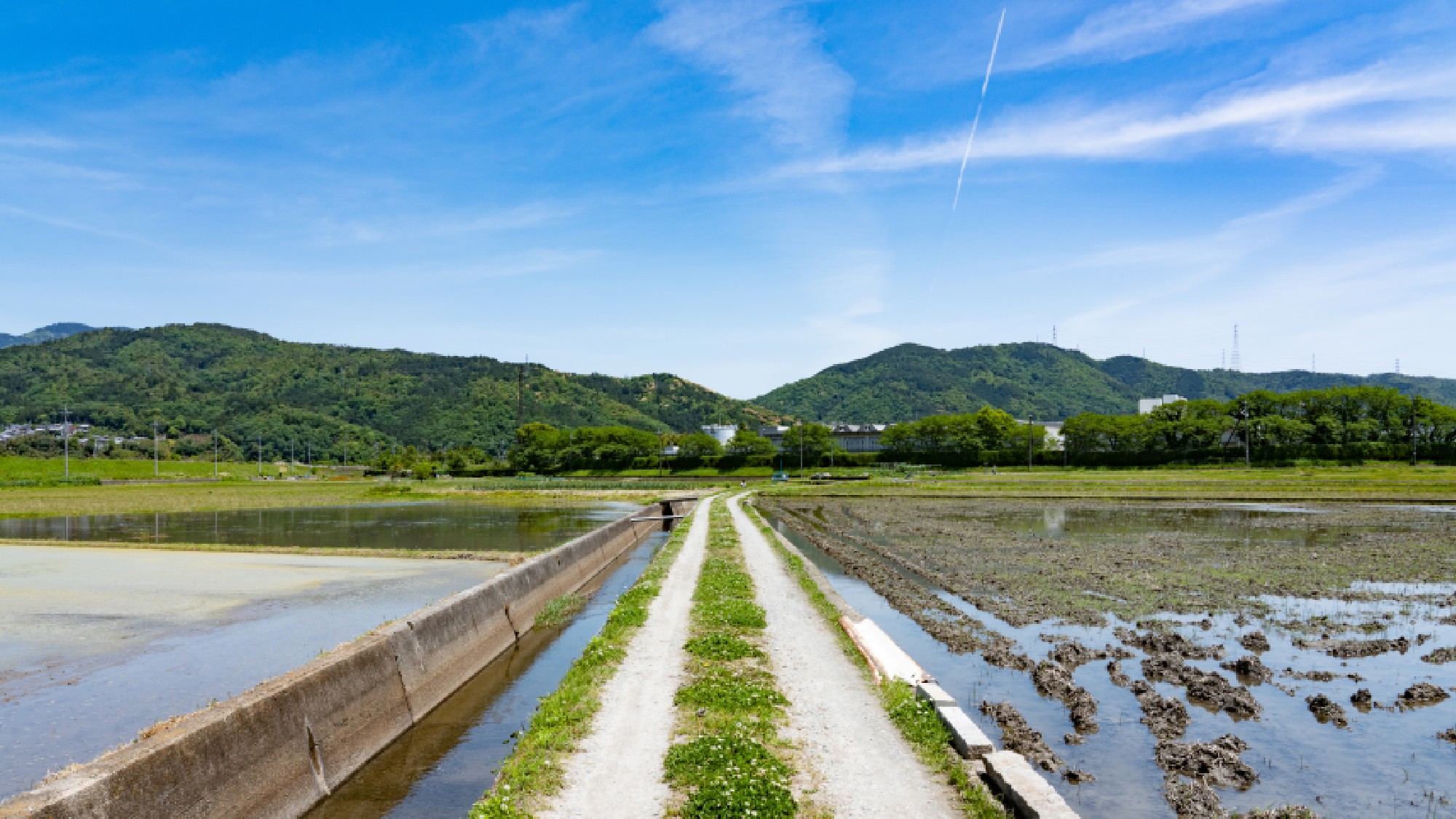 ・施設周辺