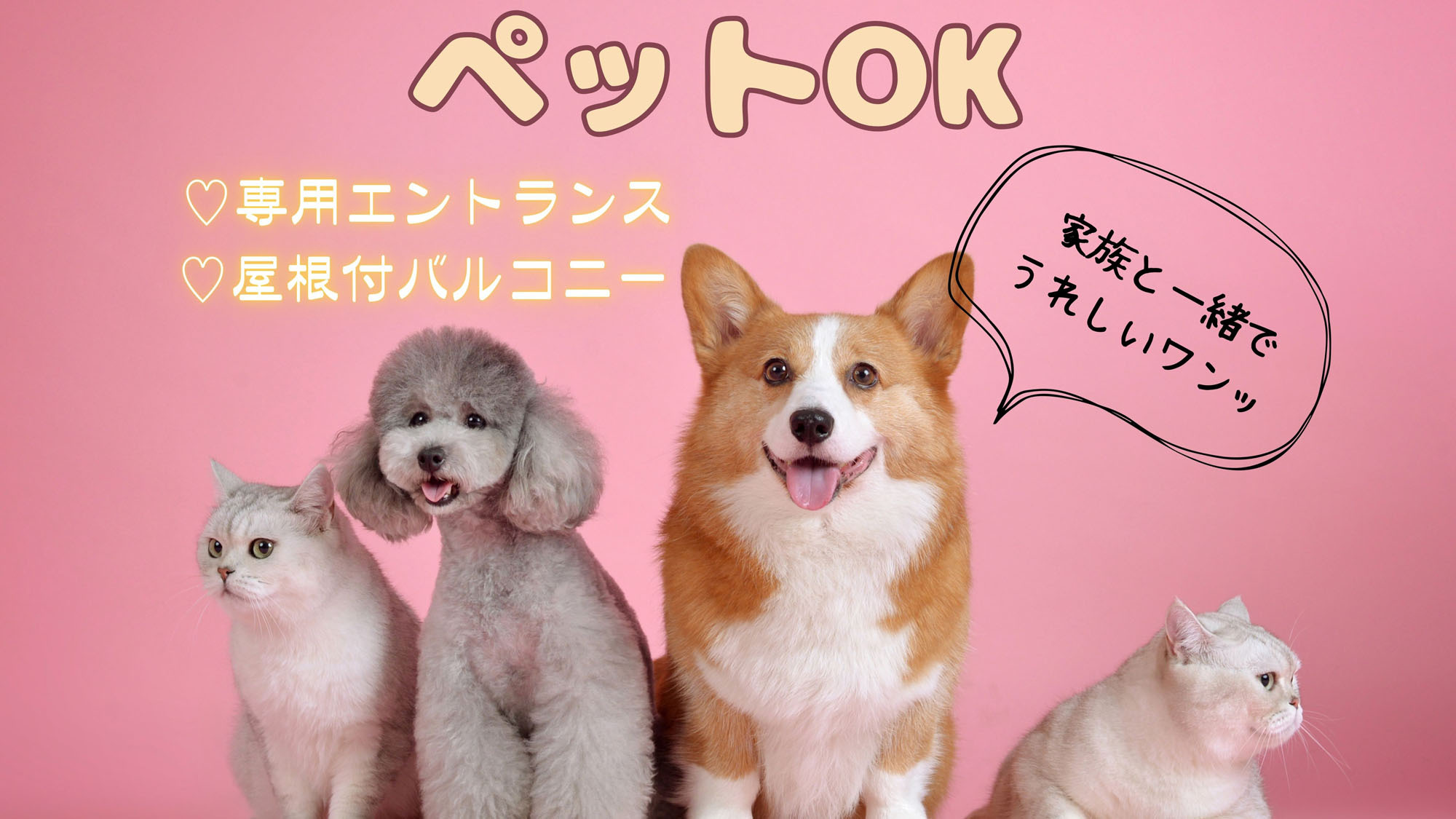 【楽天スーパーSALE】【ペットと一緒に！】屋根付きバルコニーやドッグランも完備♪《素泊り》
