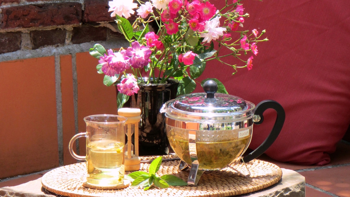 【 ローズガーデン散策 】ハーブティー特典◇幻の伊豆牛ステーキと満開のバラを満喫♪