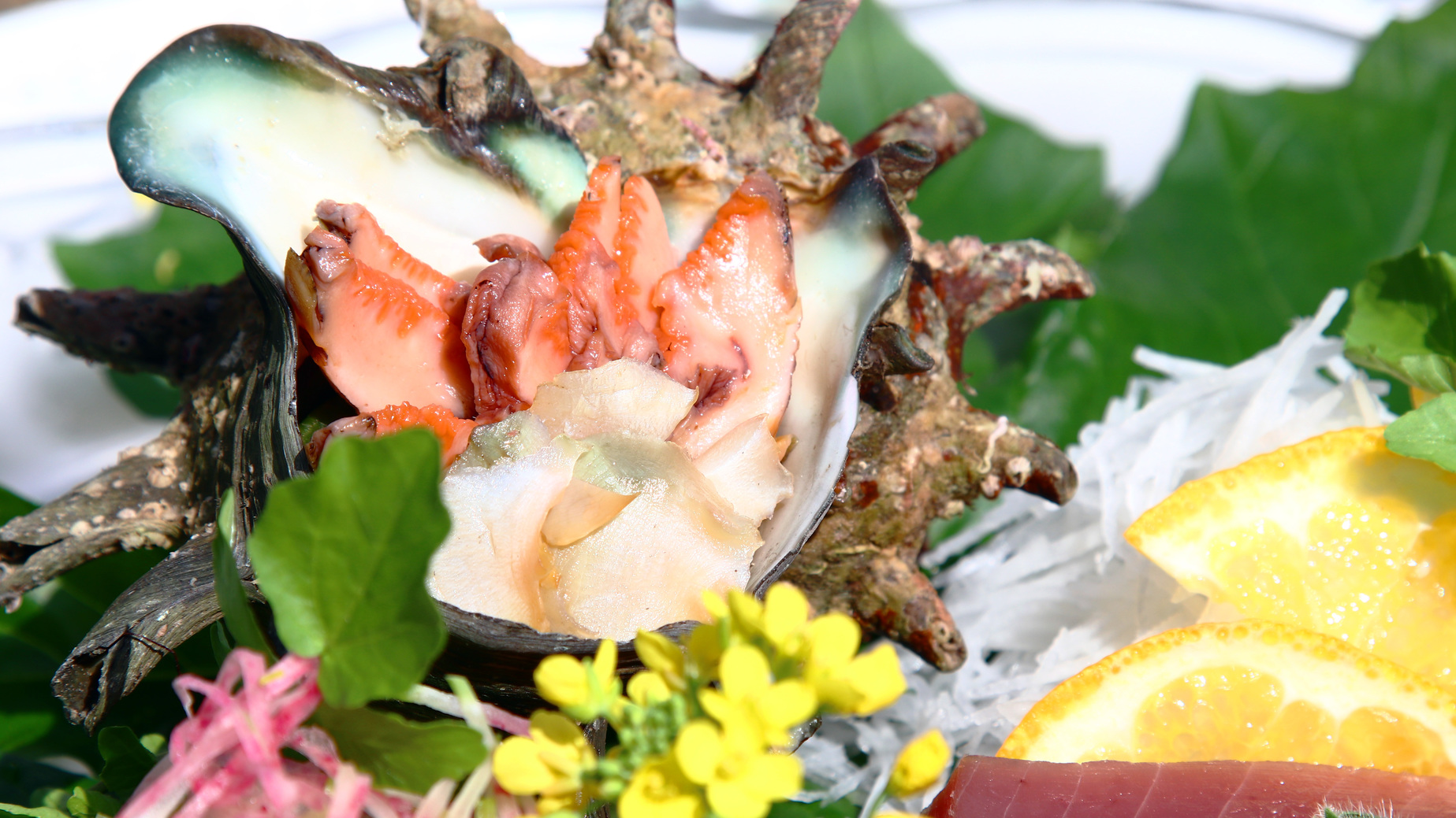 【 お刺身付き 】静岡県産尽くし！幻の伊豆牛×新鮮なお刺身を味わう♪