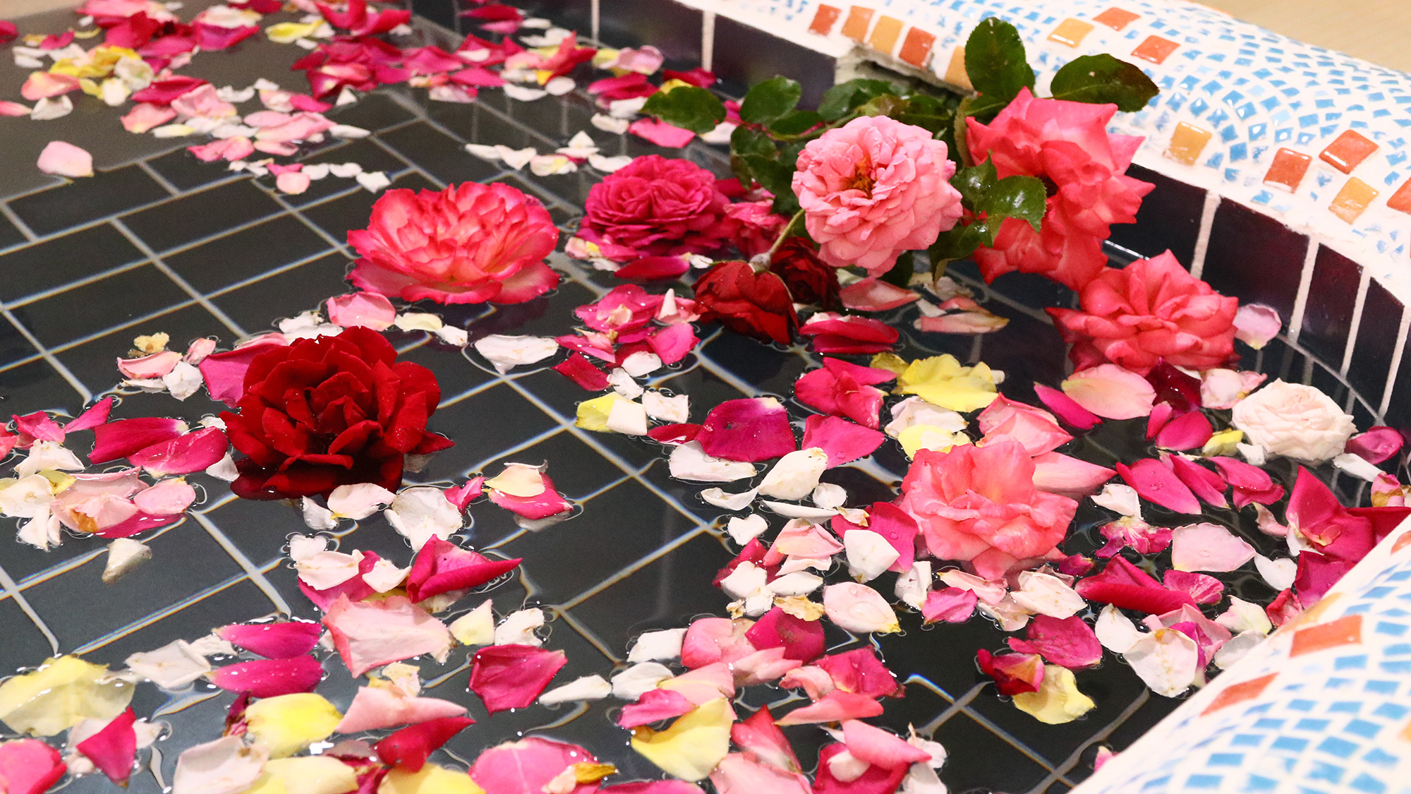 バラ風呂◆時期限定でお楽しみ頂けます（有料）*