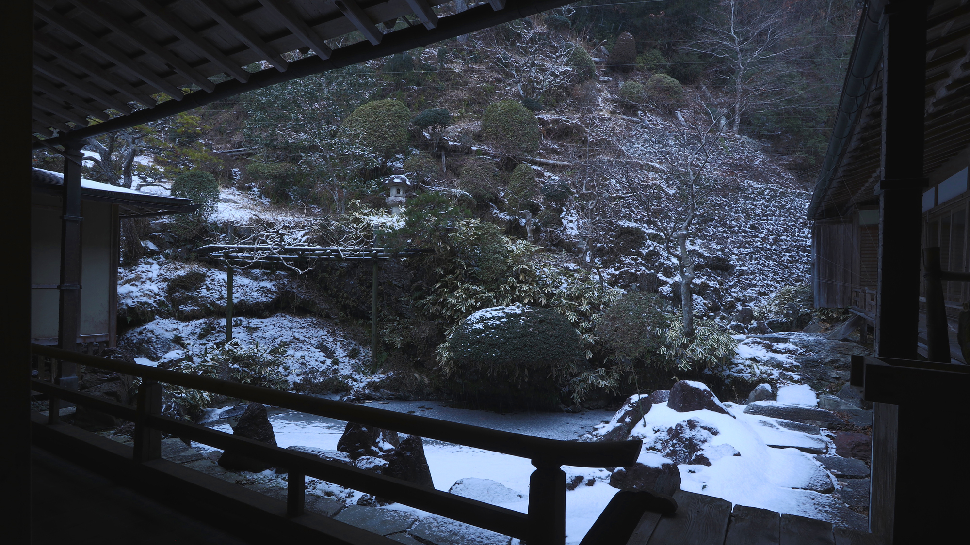 冬の庭園