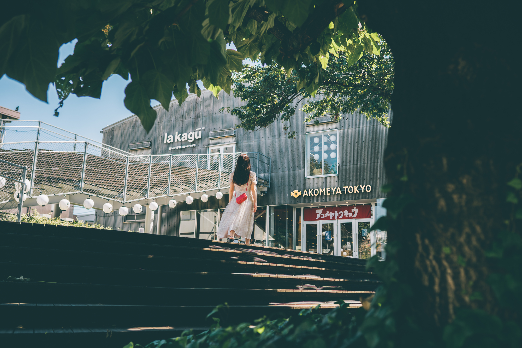 周辺情報｜ホテルVintage東京神楽坂