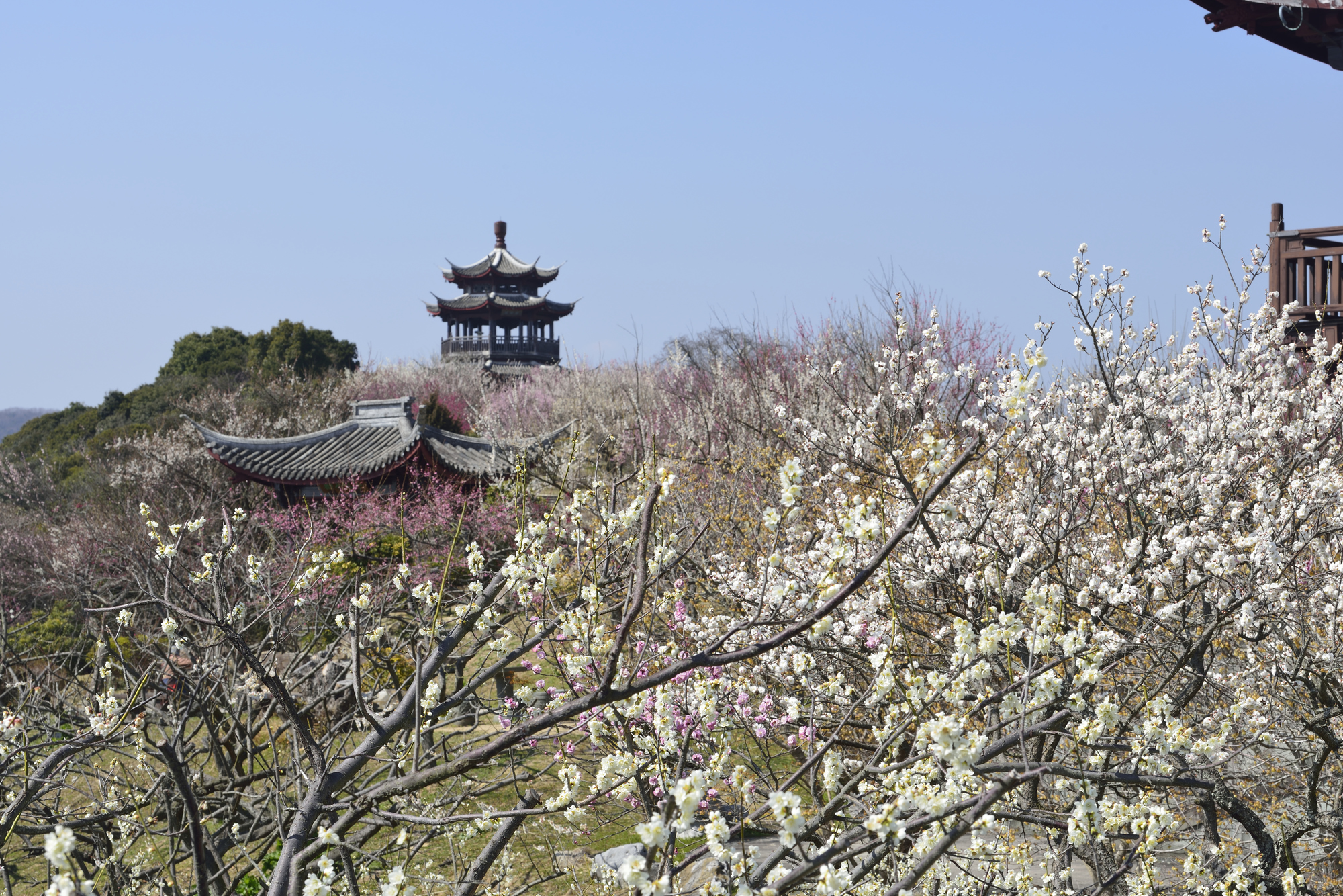 御津自然観察公園