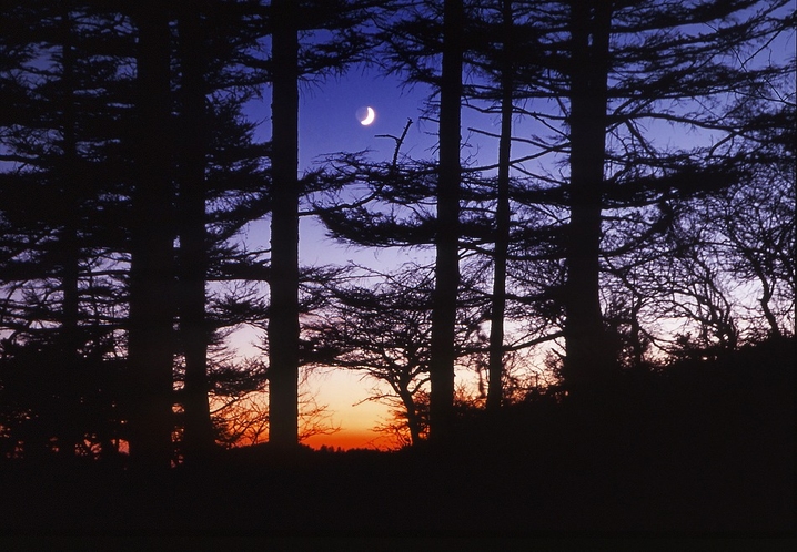 夜明け前の光景