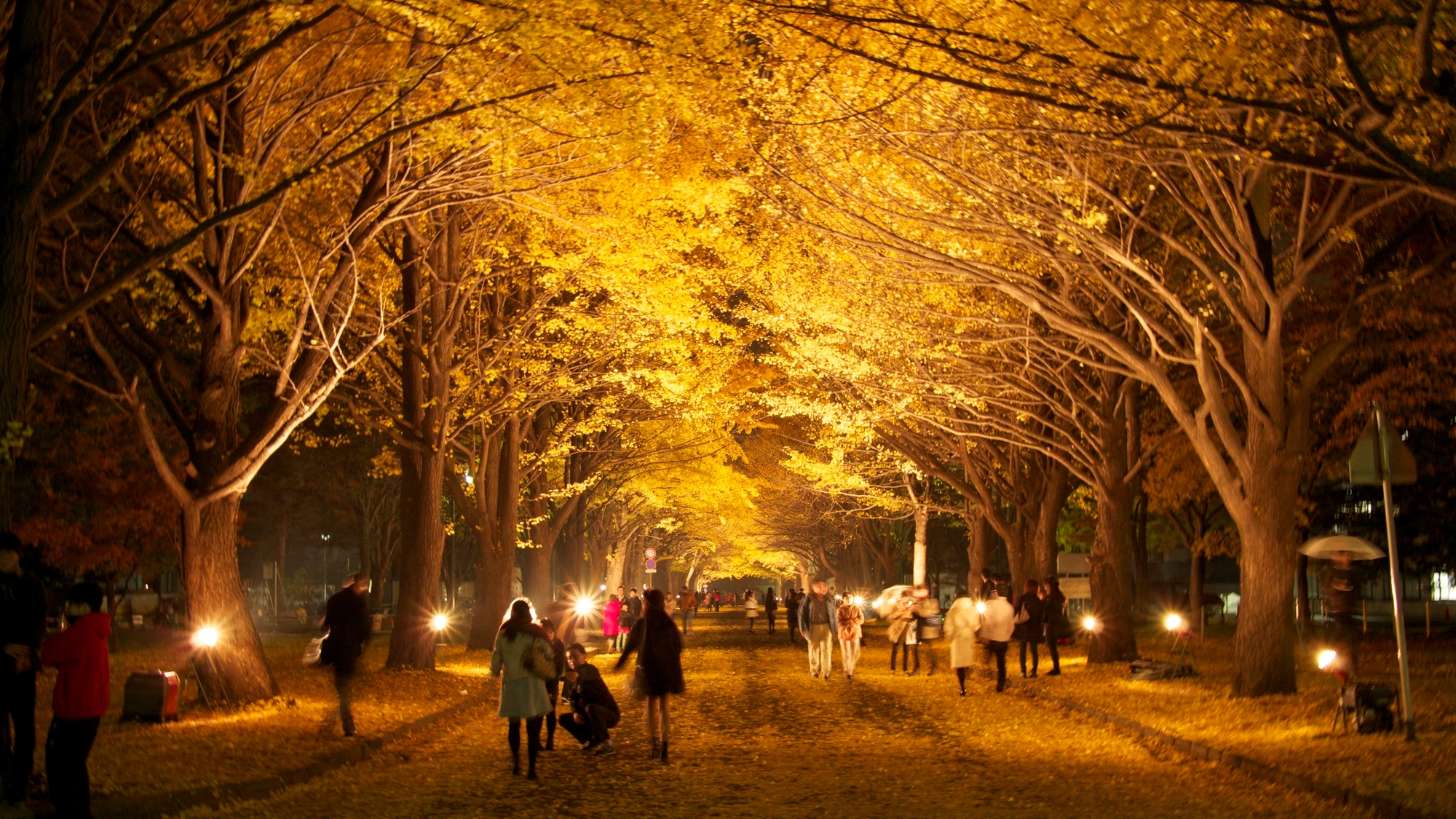 【当館から徒歩約30分】北海道大学