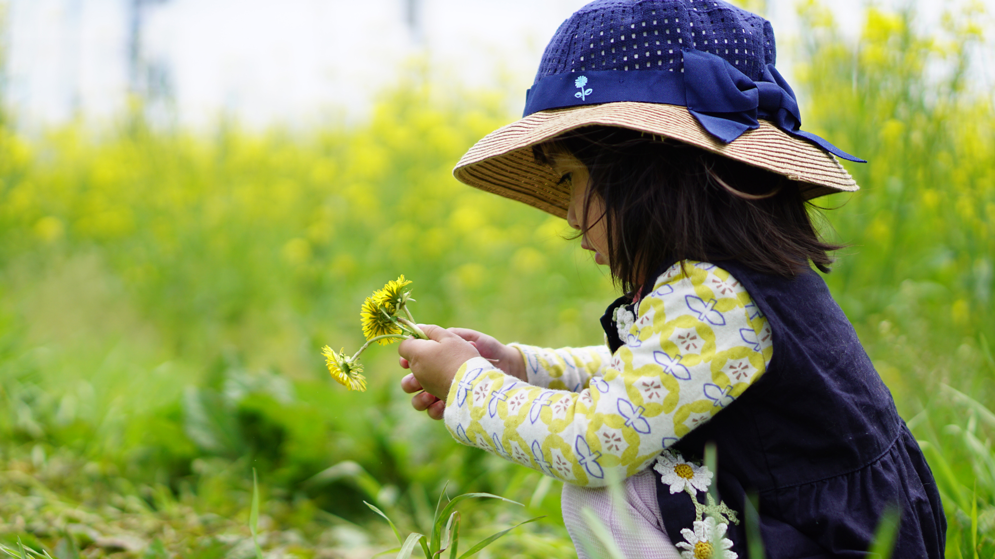 田舎体験／季節ごと、様々な野花が咲きます