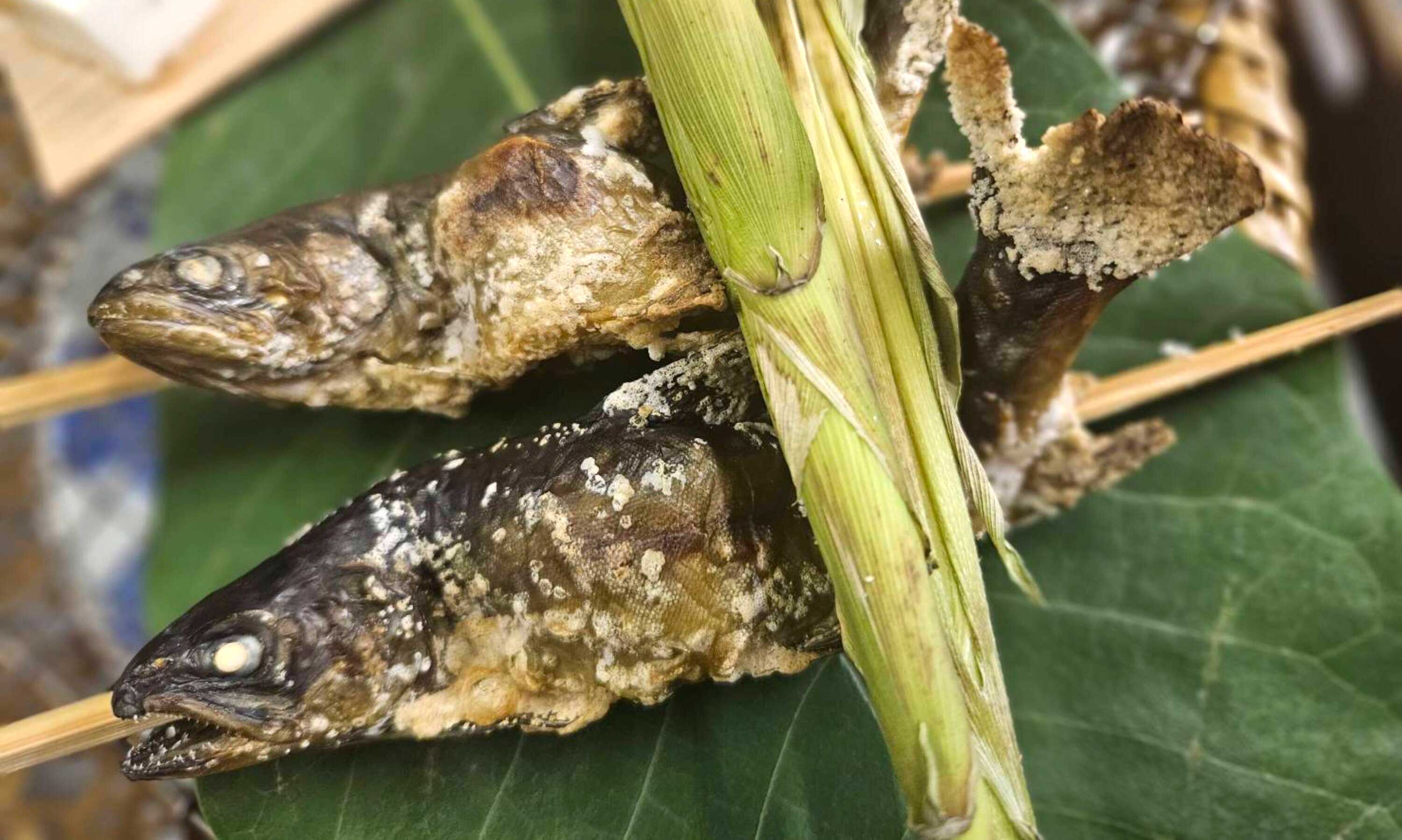 板長おまかせの郷土会席
