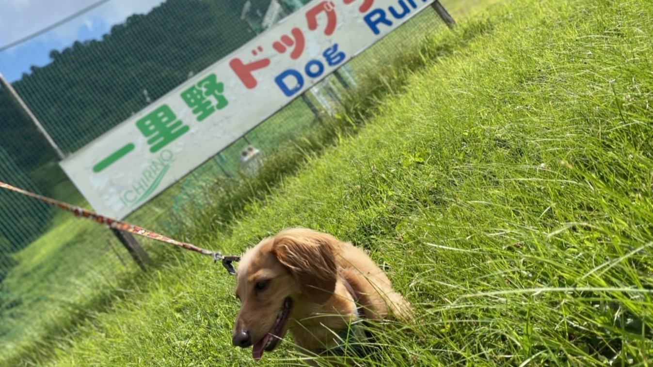 【ワンコとお泊り1匹無料】白山麓をふんだんに彩り豊かな洋コース＝♪爽やかな高原の自然の中で…