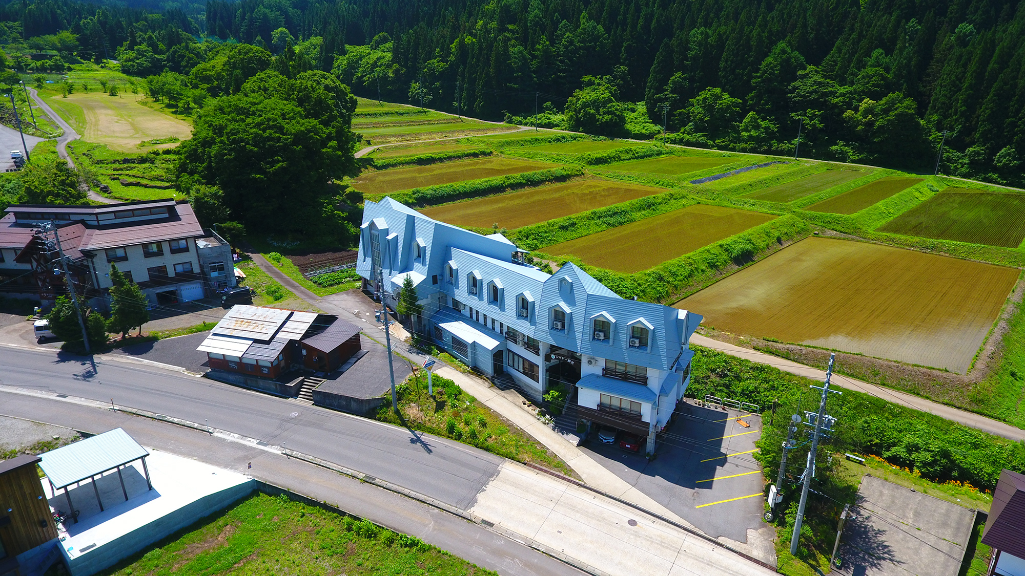 【外観】グリーンシーズン