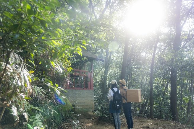 【早朝ハイキングプラン】清々しい自然を満喫！森林浴と野点を楽しむAsageshikiツアー