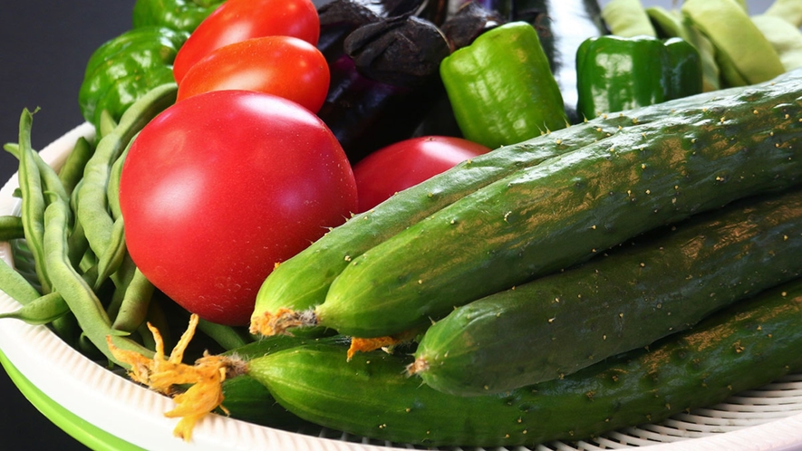 食材◆フローラ戸狩の畑で育てた新鮮な野菜をご堪能ください。