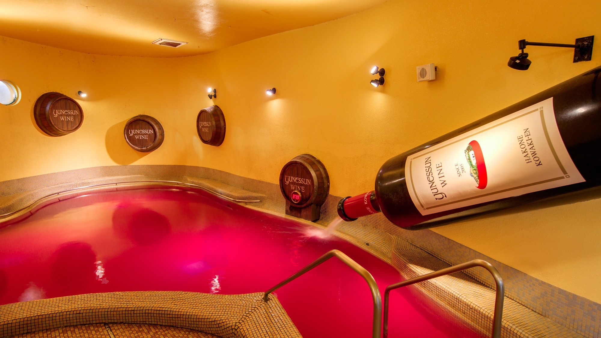 【朝食付きステイプラン】箱根の自然と歴史に触れる自家源泉の湯宿♪