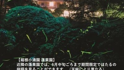 ホタル