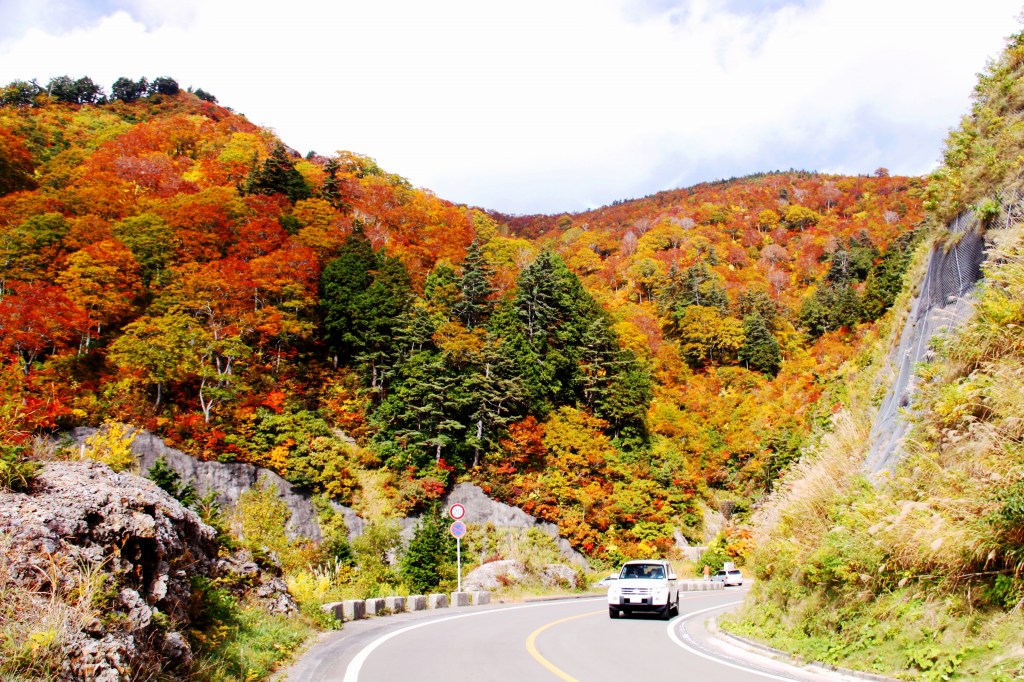 紅葉の白山・白川郷ホワイトロード（旧白山スーパー林道）