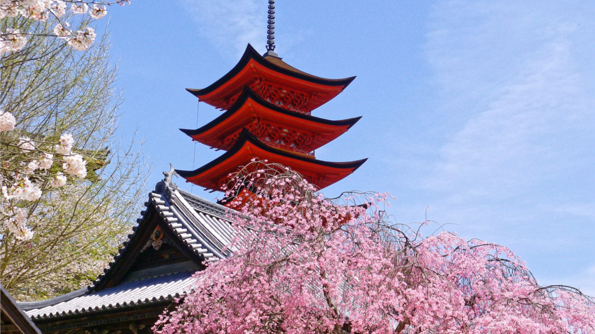 宮島（厳島神社）