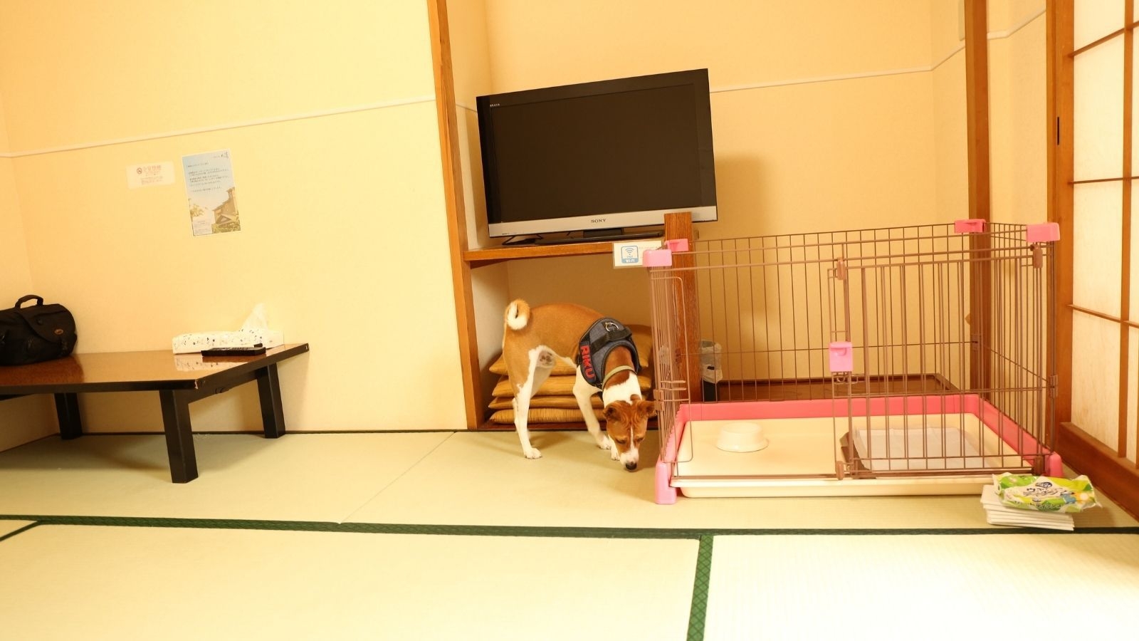 【楽天スーパーSALE】【無料朝食付き｜ペット同伴向け】ペット同伴可の和室で愛犬とステイ｜専用フロア