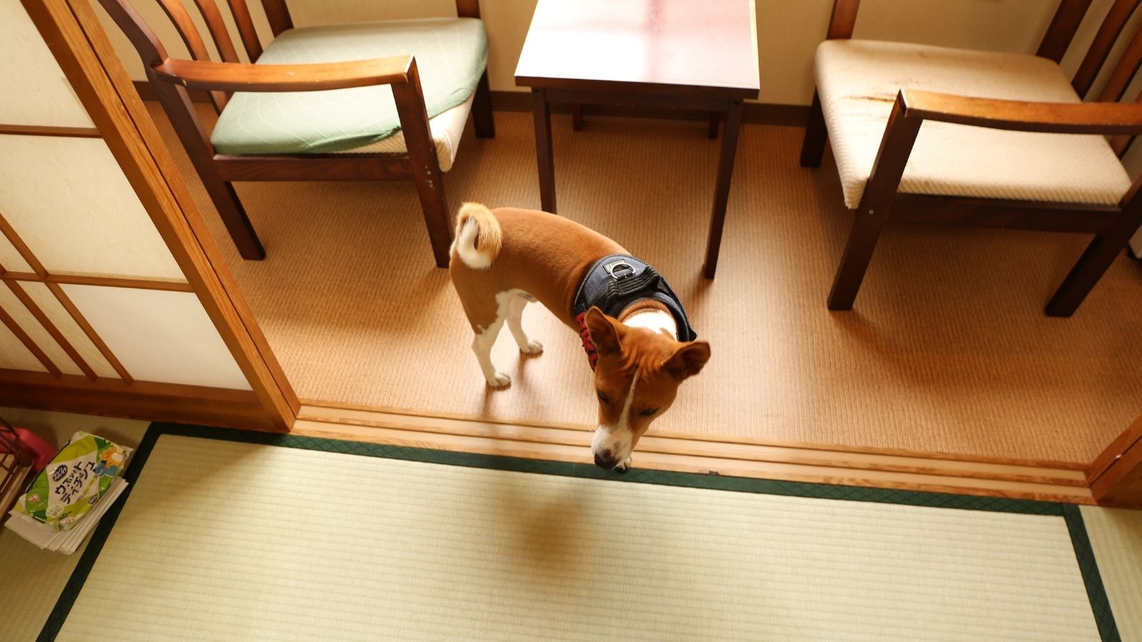 ペット同伴客室