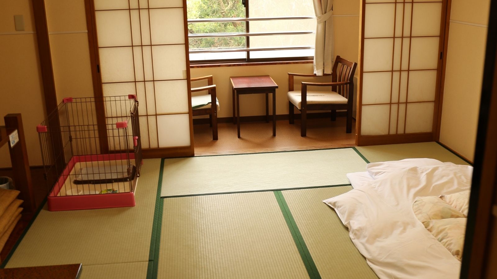 ペット同伴客室