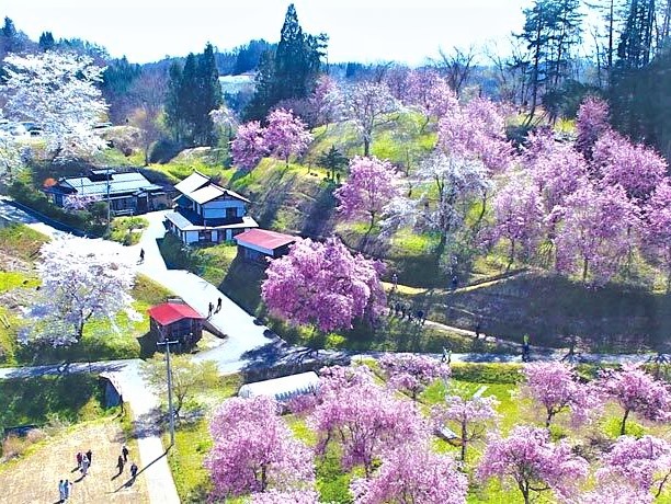 【直前割】大浴場新築OPEN＼　立　屋　／日本で最も美しい村で過ごす春