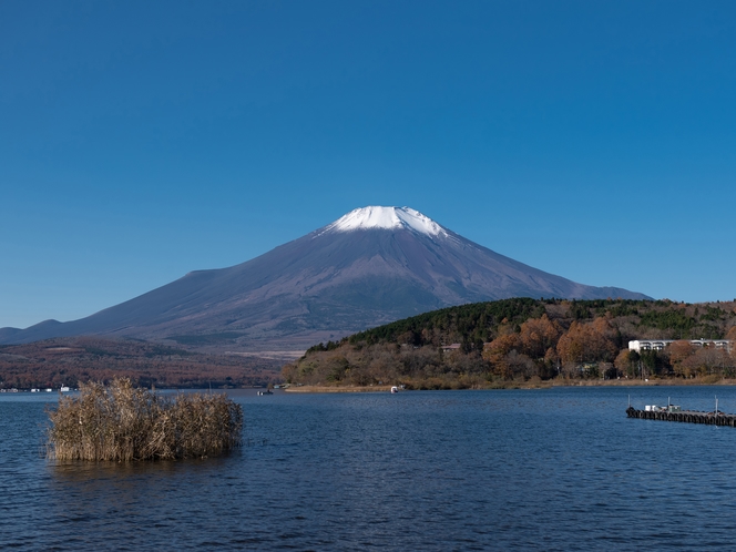 景観　富士山