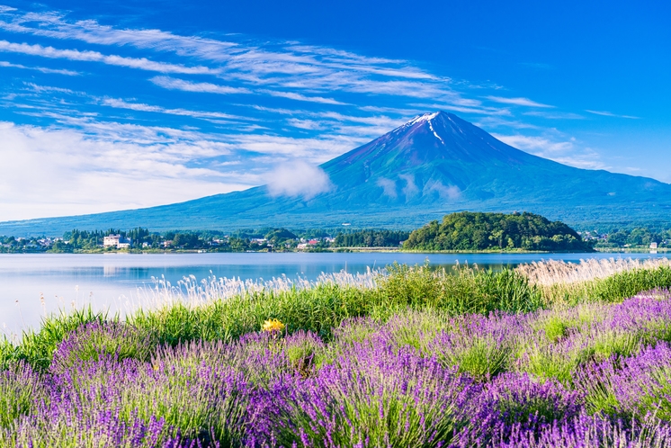 大石公園から望む、富士山