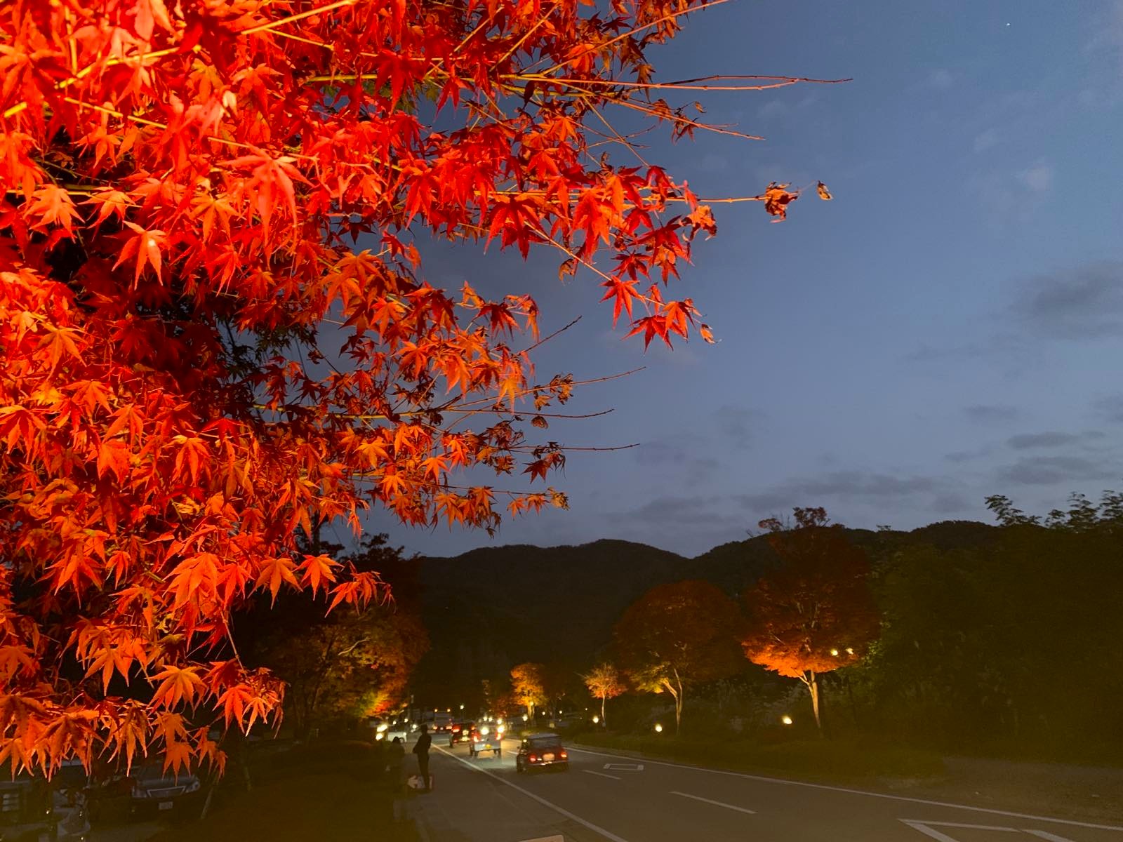 河口湖もみじ祭り会場・宿から会場まで車で約15分