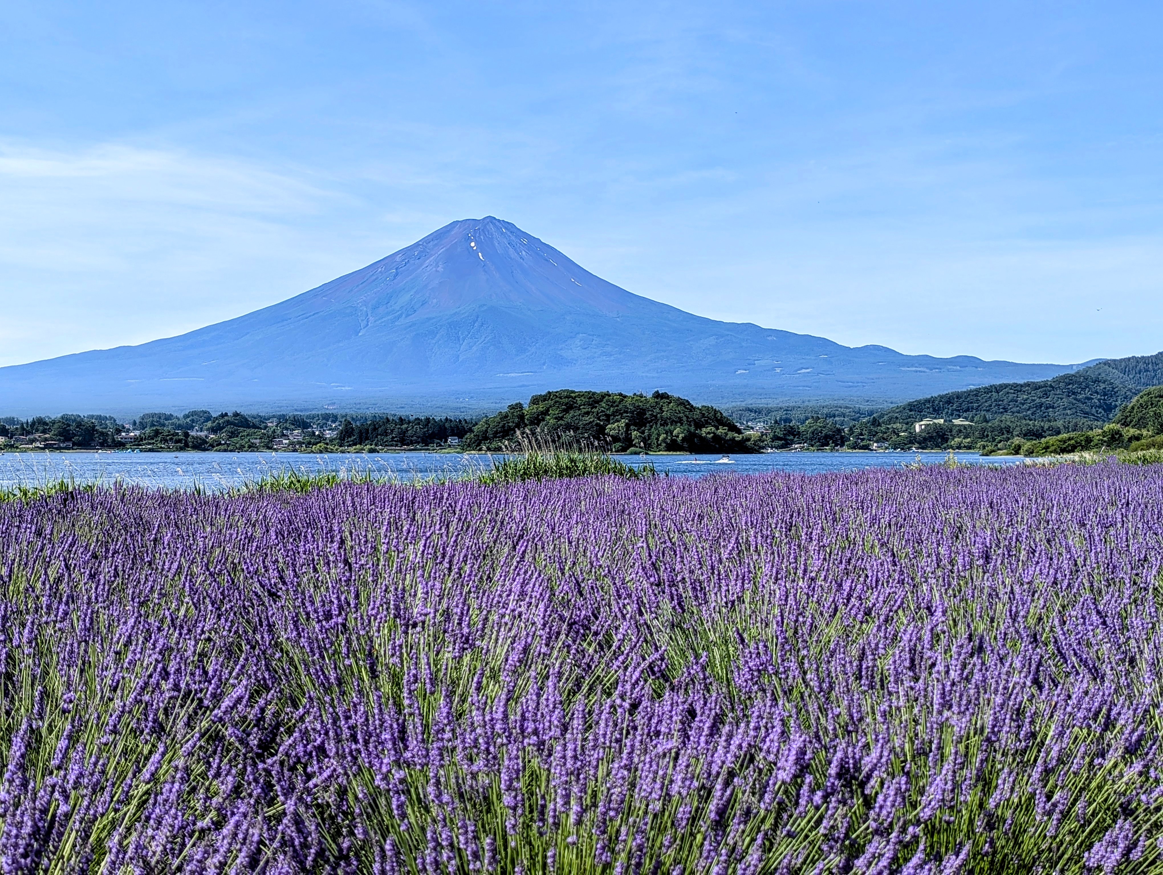 大石公園・宿から車で約20分