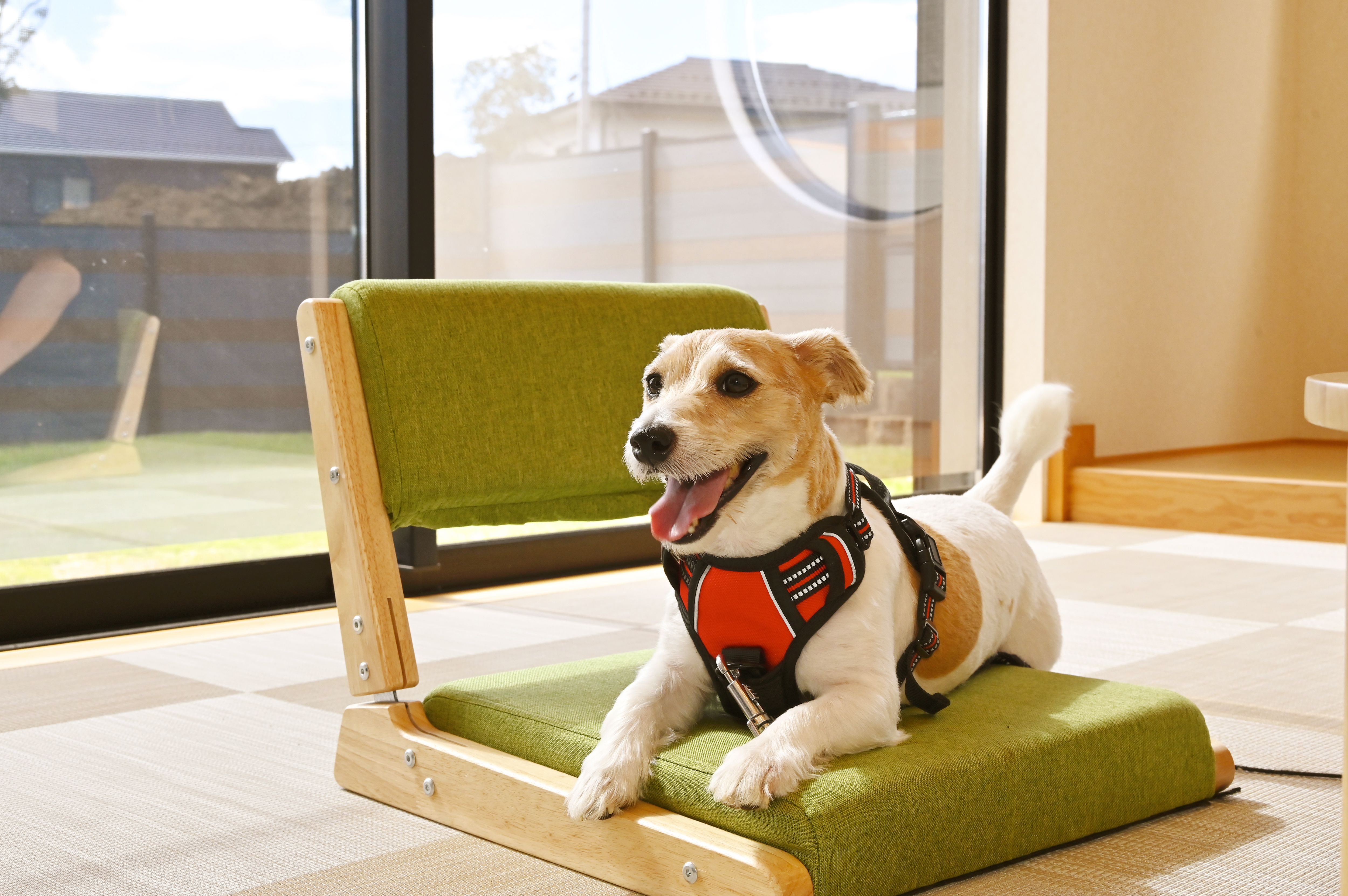 【ペットルーム】バルコニータイプ-和室