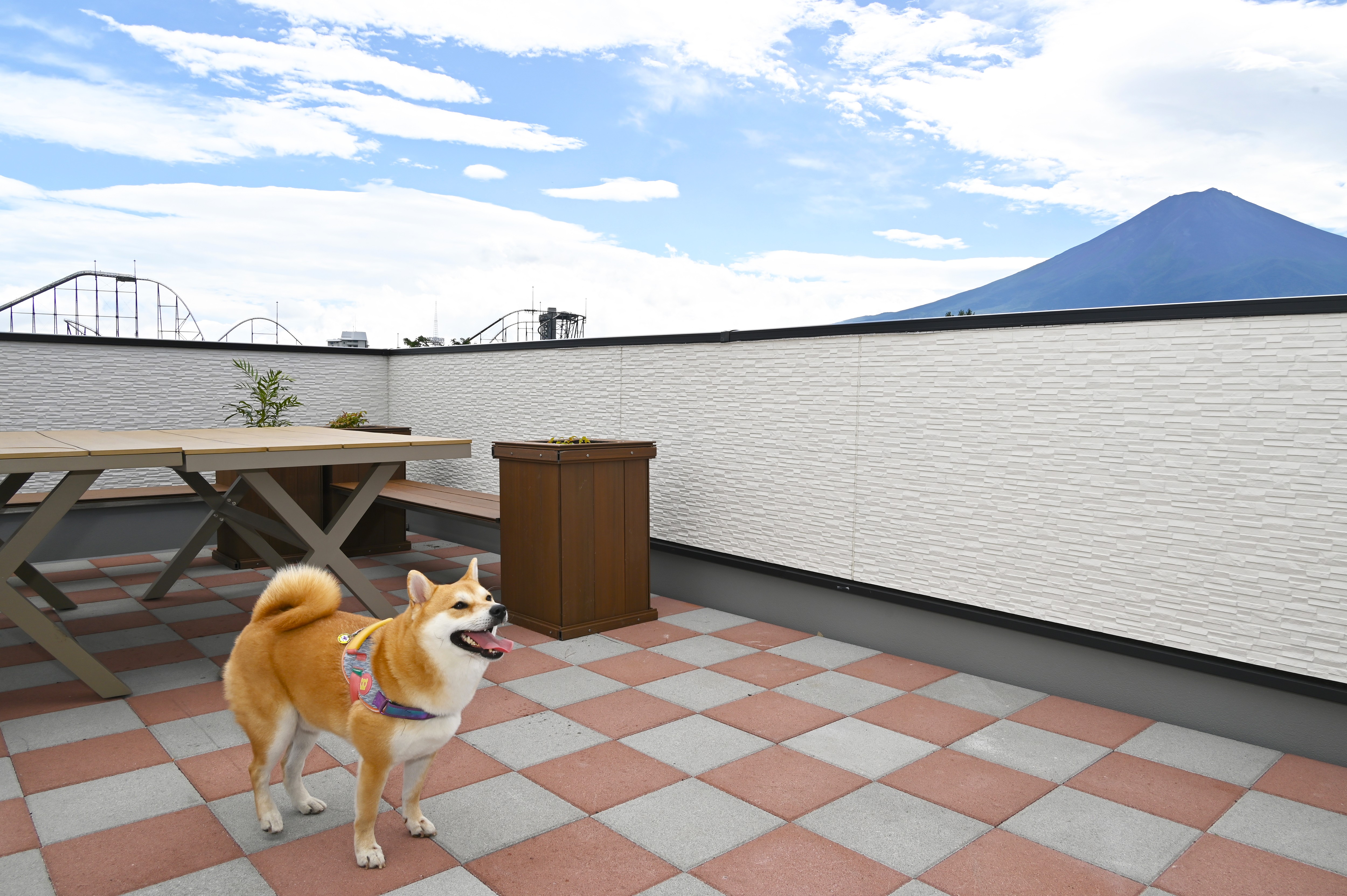 【ペットルーム】ルーフトップタイプ-屋上