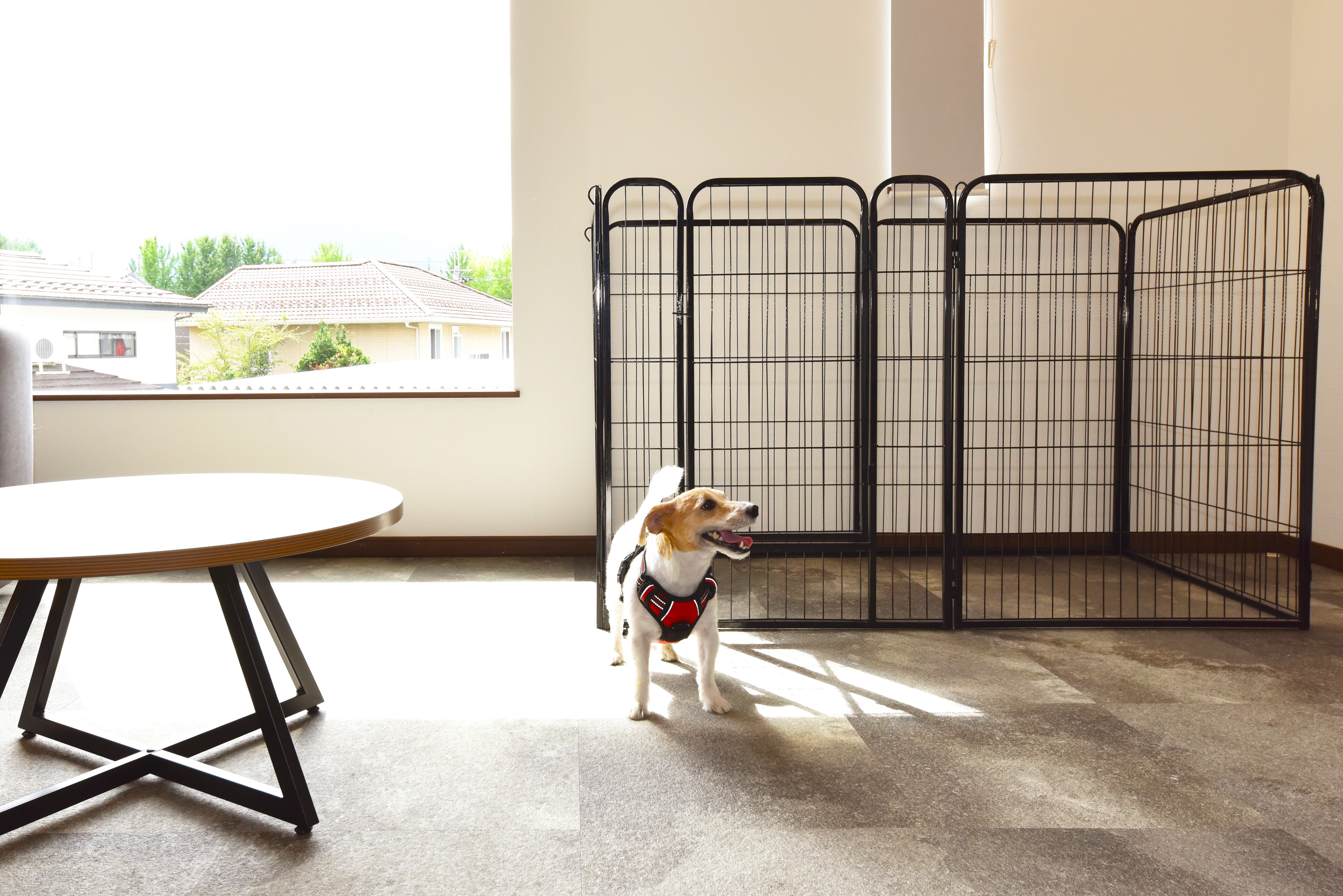 【ペットルーム】ルーフトップタイプ-2階②