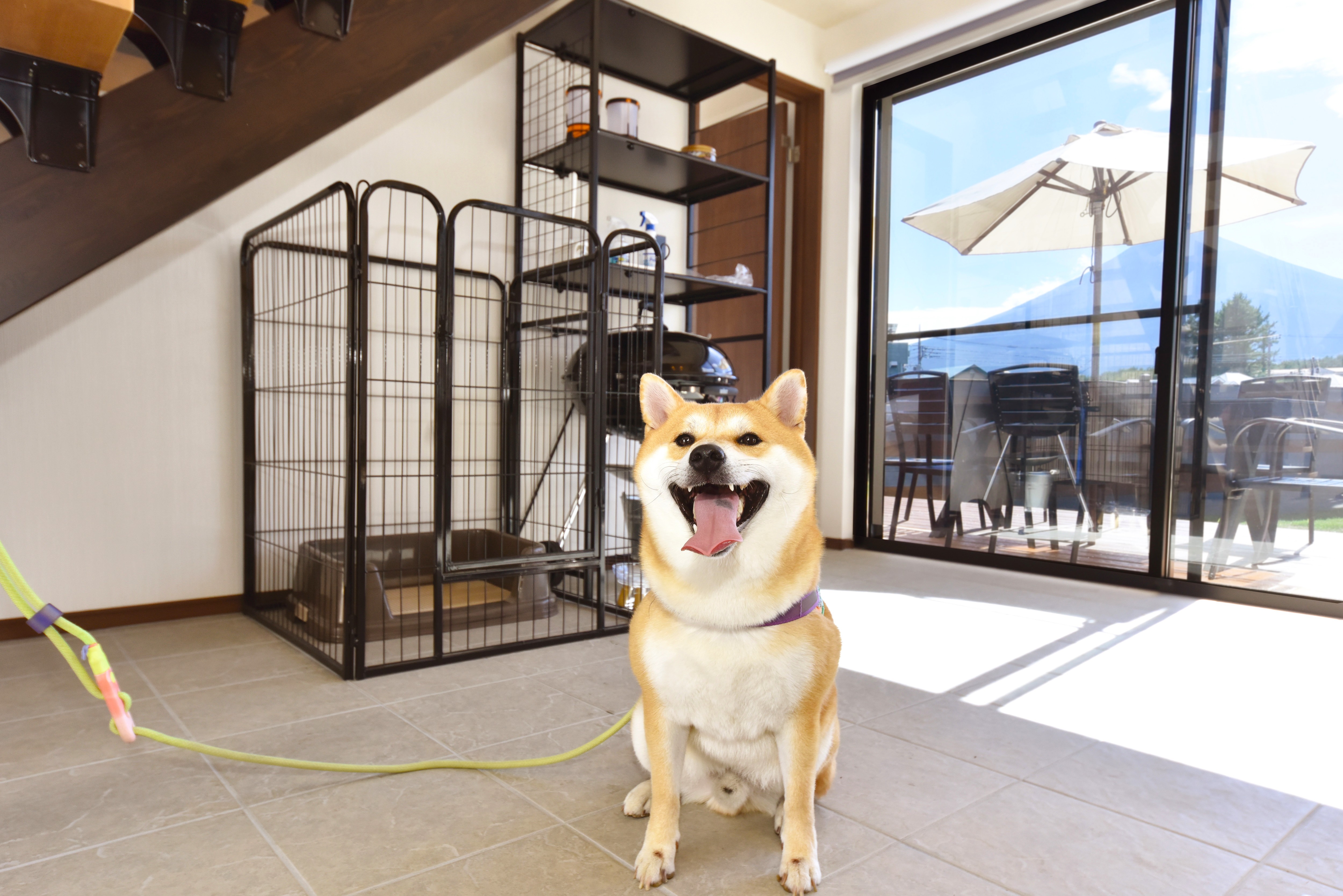 【ペットルーム】バルコニータイプ-玄関