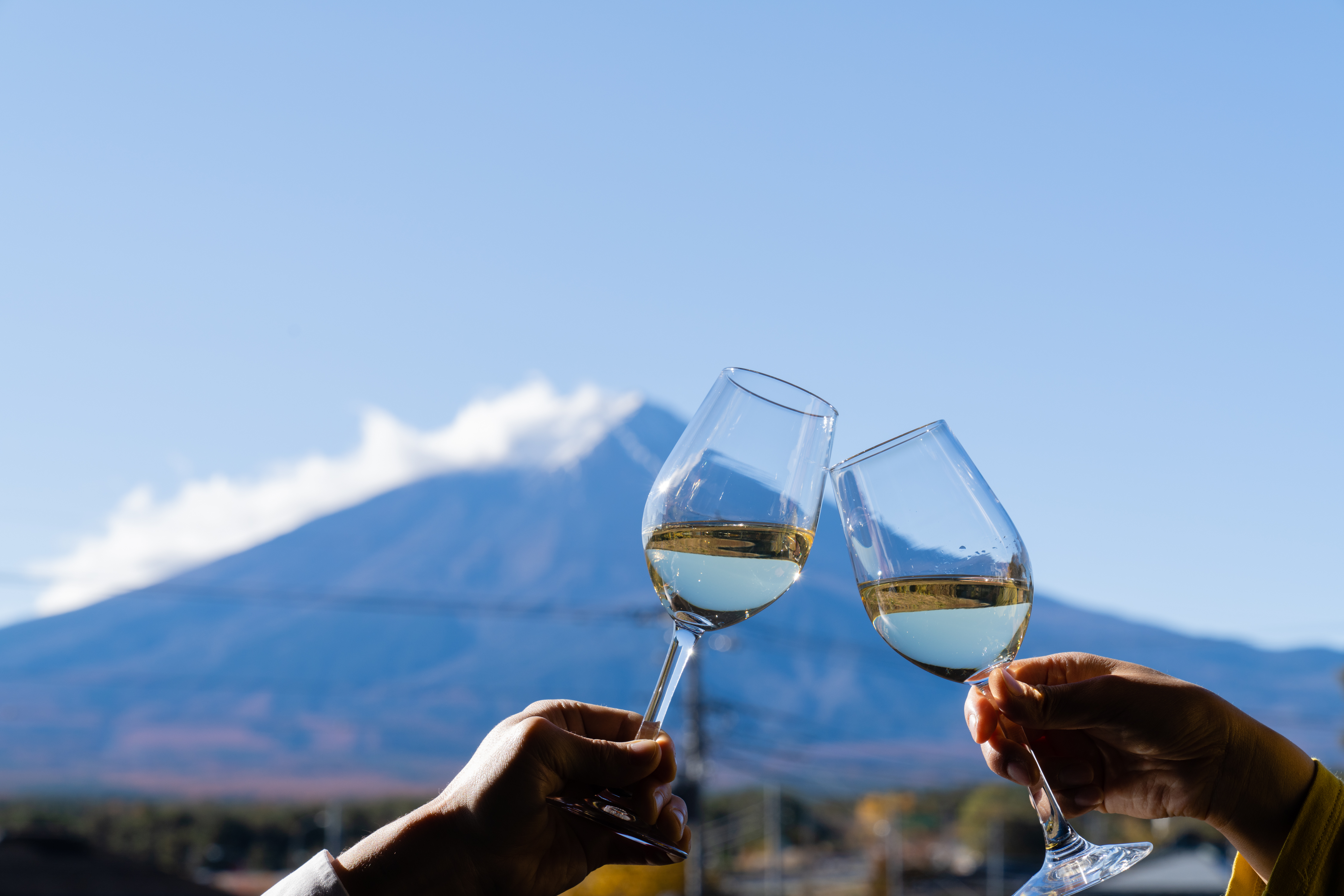 富士山を見ながら乾杯♪