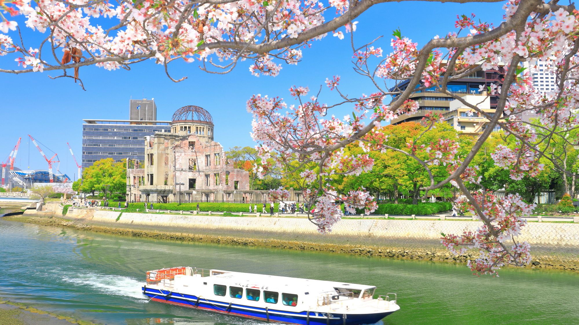 【春の広島】桜に包まれた原爆ドームと遊覧船の風景