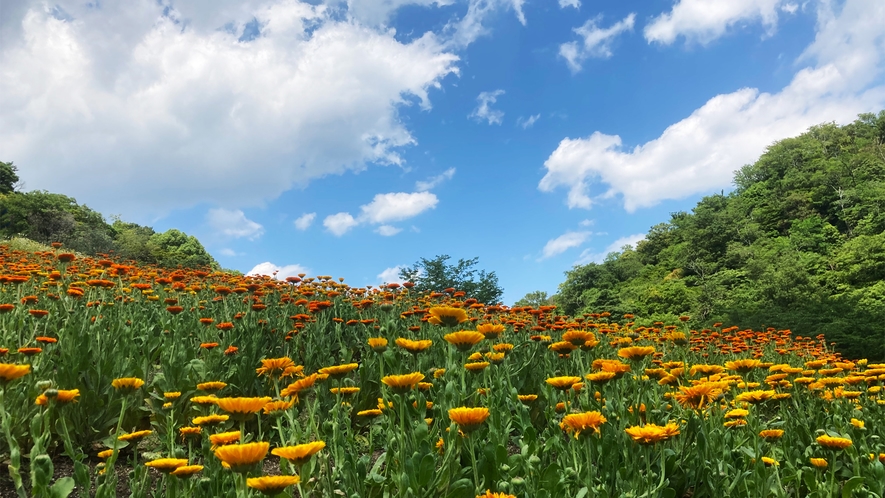 布引ハーブ園