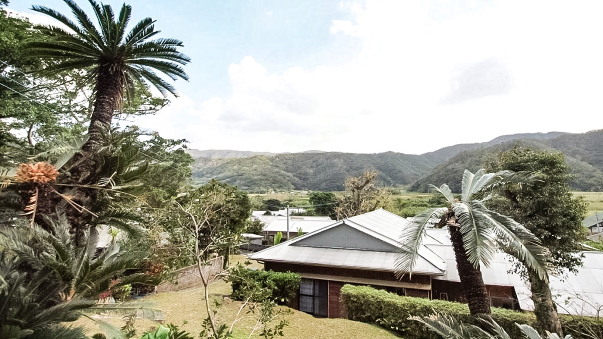 【GAMA屋】【一棟貸切プラン】奄美の集落にある民家で暮らす旅