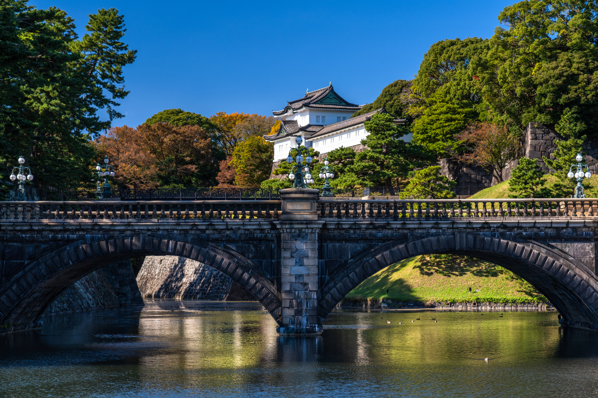 皇居外苑・伏見