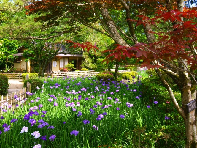 写真提供：宮崎県観光協会　日向景修園