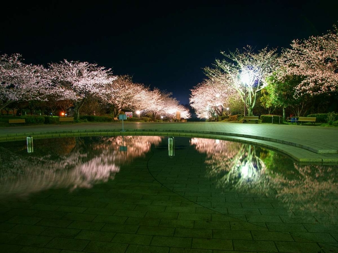 写真提供：宮崎県観光協会　久峰総合公園