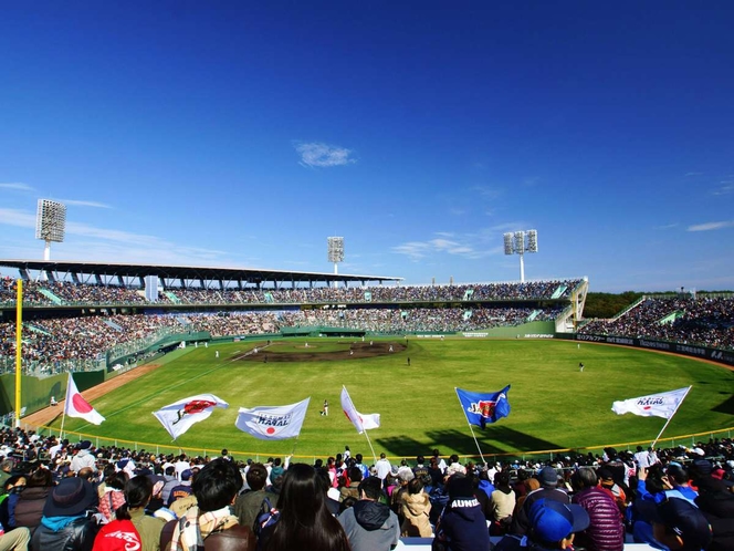 写真提供：宮崎県観光協会　サンマリンスタジアム宮崎