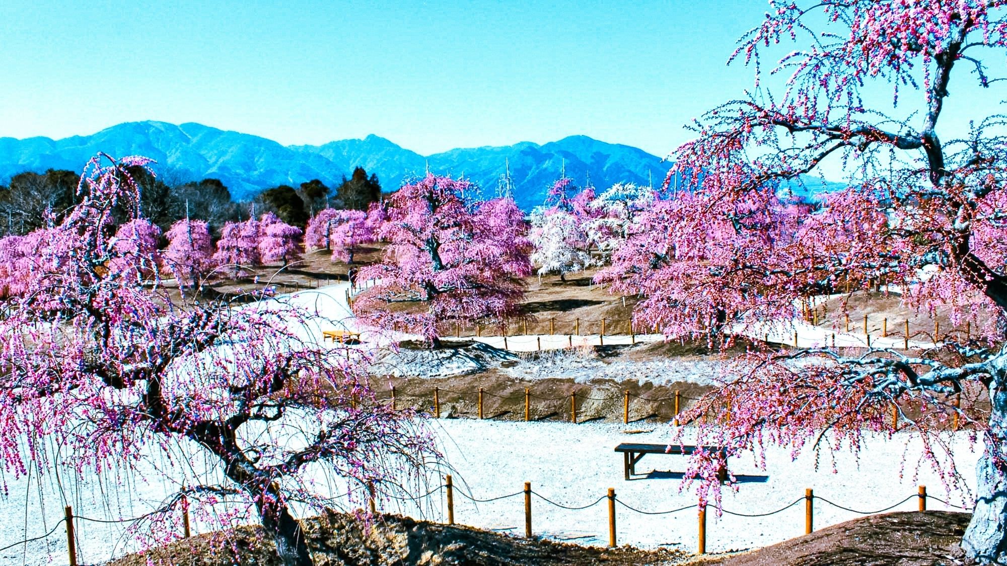 ARIGATO STAY鈴鹿（旧 ホテルトレンド鈴鹿） - 写真 86