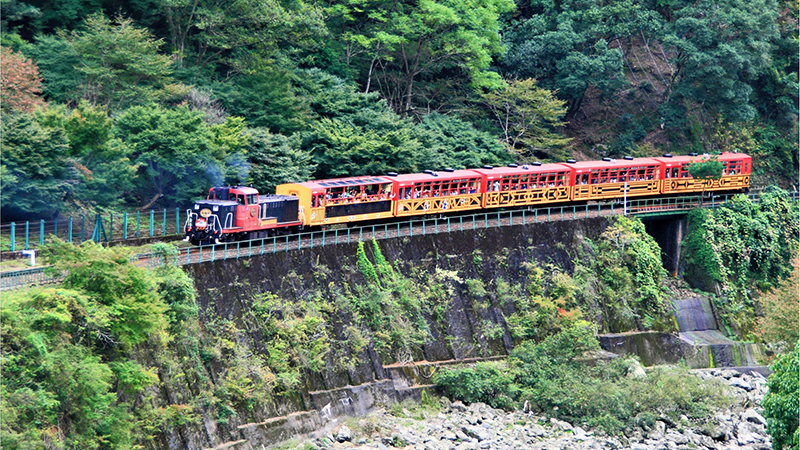 嵯峨野トロッコ列車（電車で約40分）