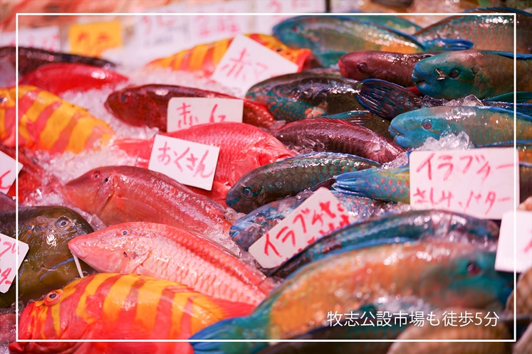 色とりどりの魚が並ぶ牧志公設市場、徒歩5分の散策ルート