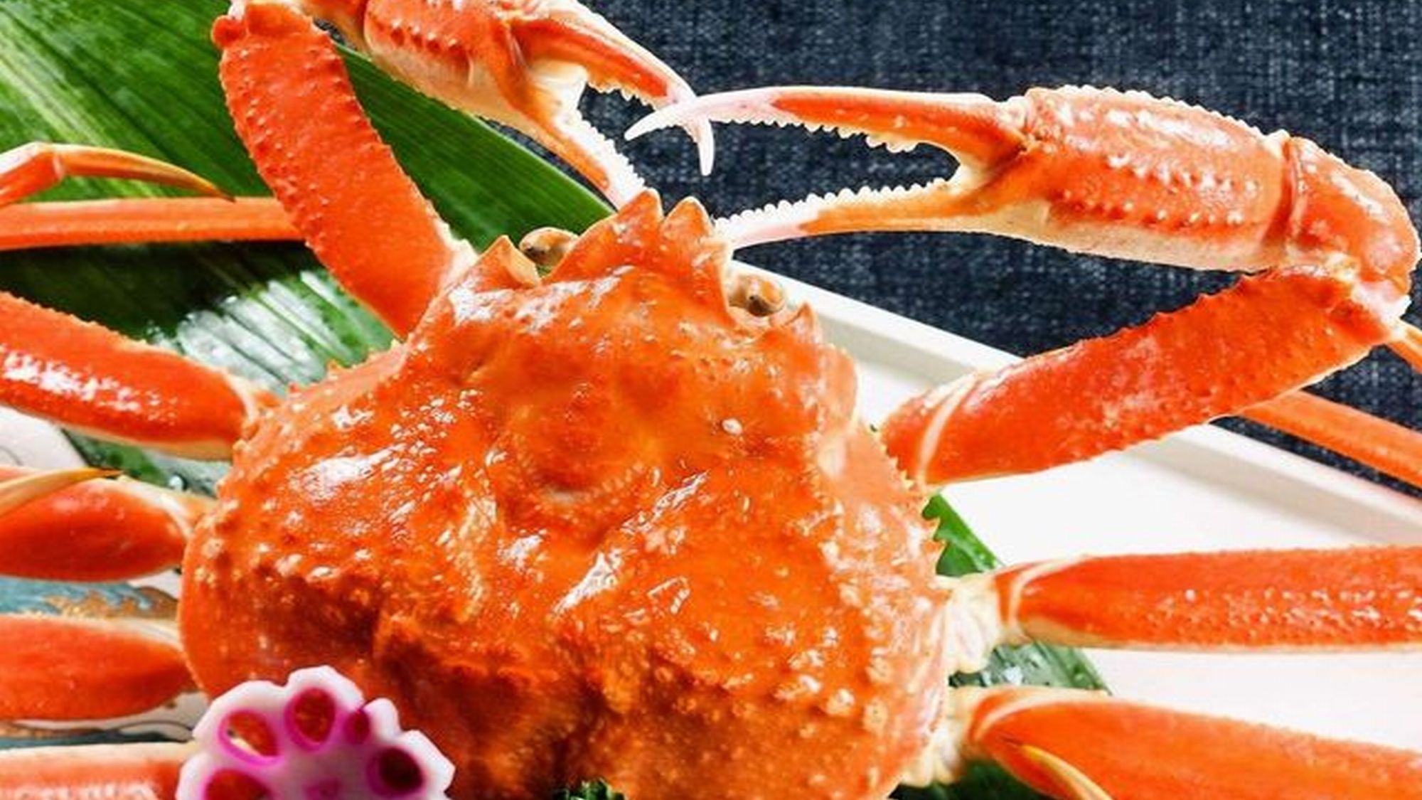 【10％OFF】【楽天スーパーSALE】かに1杯・ふぐちり・日本海直送舟盛プラン！越前の味覚が満載！