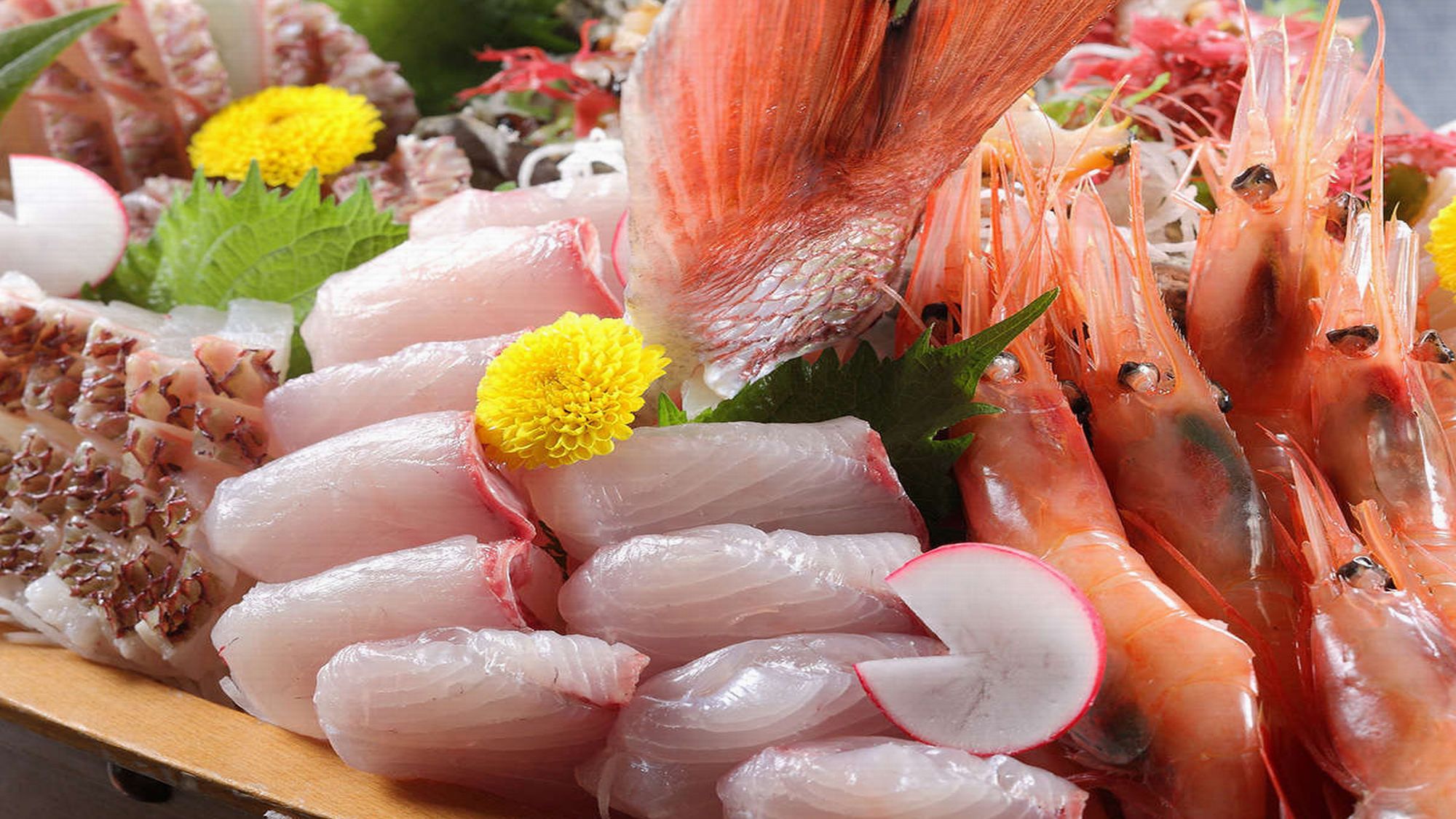 【楽天月末セール】日本海直送のピチピチ旬魚を盛り込んだコスパ抜群のグルメ会席！